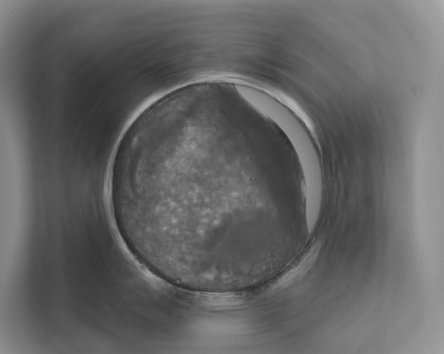 X0000111171007200907291119