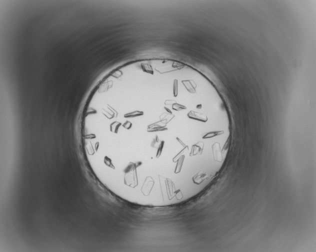 X0000111171008200907291119