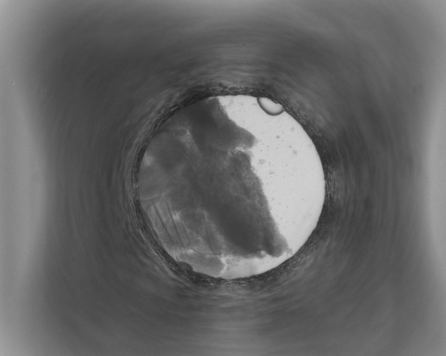 X0000111171009200907291119