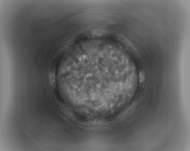 X0000111171011200907291119