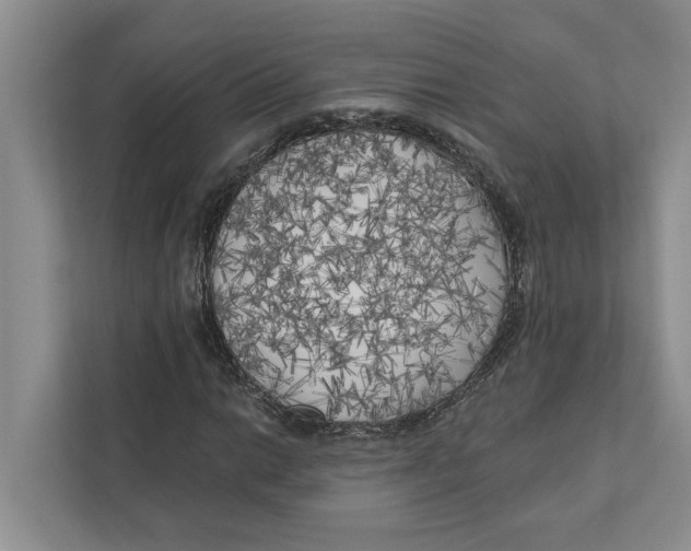 X0000111171014200907291119