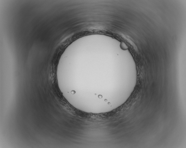 X0000111171015200907291119