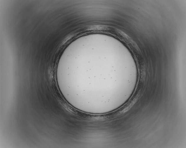 X0000111171017200907291119