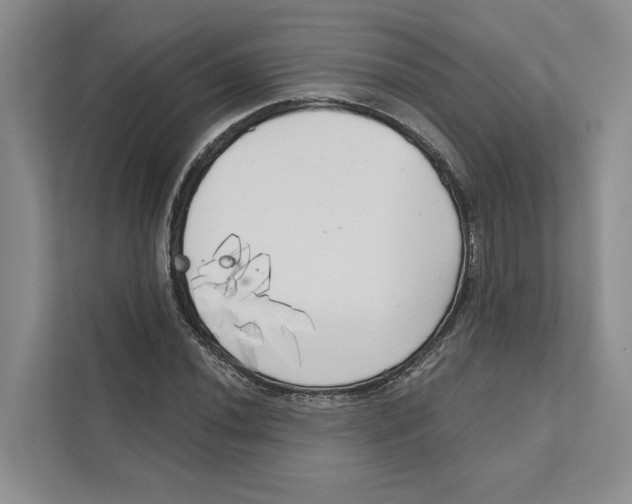 X0000111171020200907291119