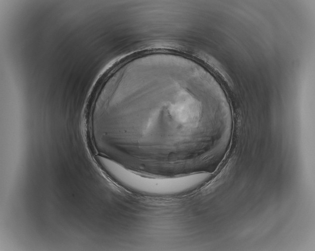 X0000111171024200907291119