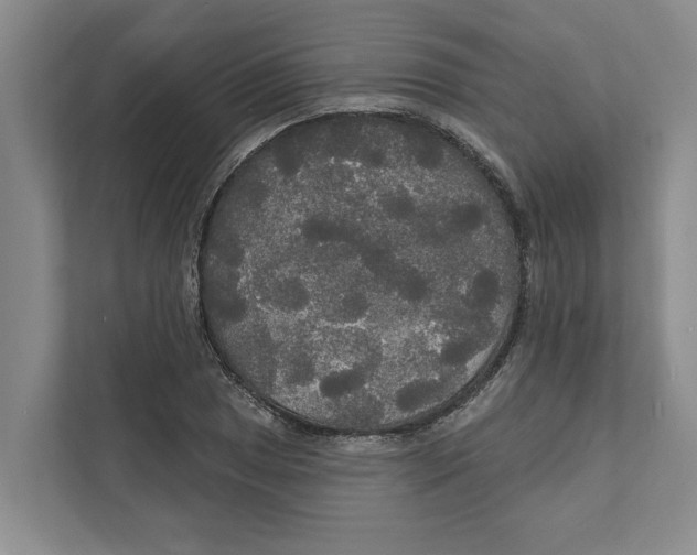 X0000111171025200907291119