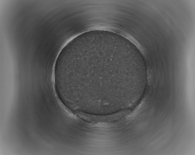 X0000111171028200907291119