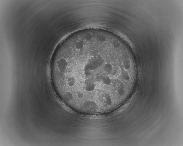 X0000111171029200907291119