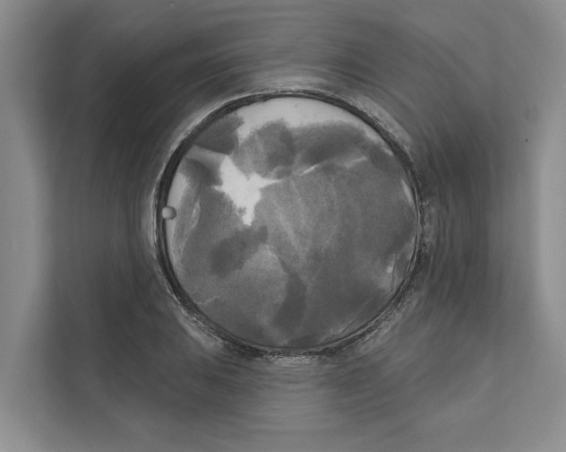 X0000111171031200907291119