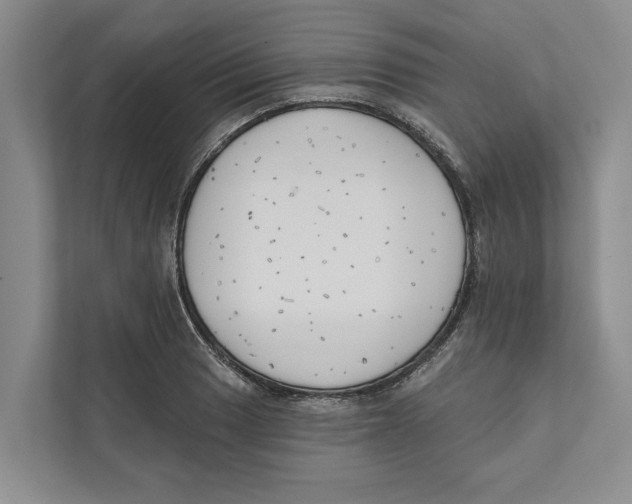 X0000111171033200907291119