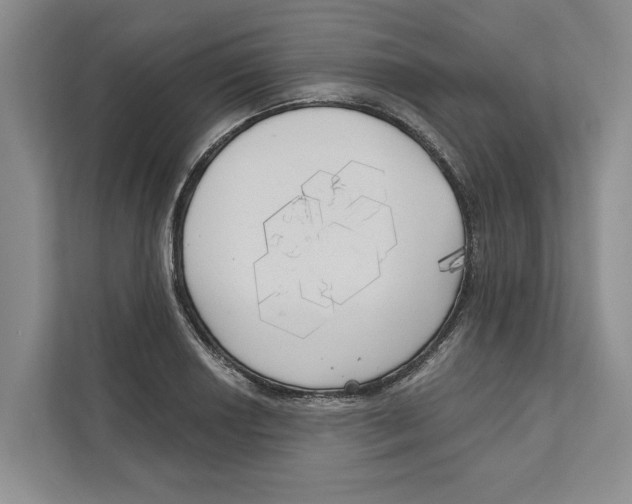 X0000111171034200907291119