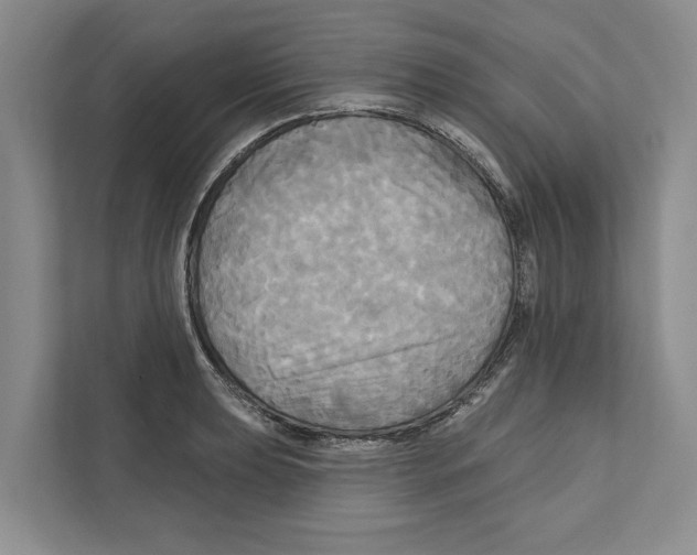 X0000111171039200907291119