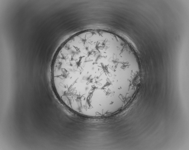 X0000111171040200907291119