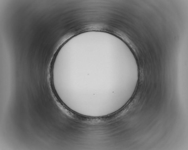 X0000111171042200907291119