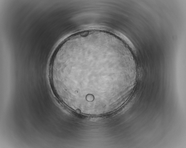 X0000111171043200907291119