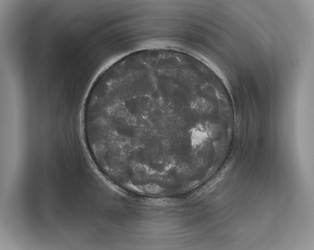 X0000111171045200907291119