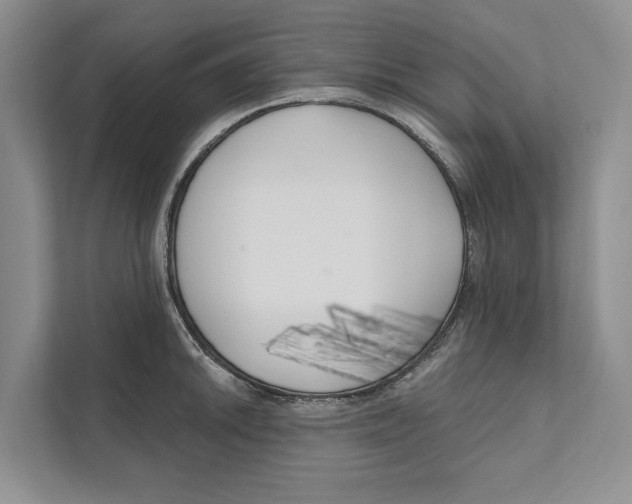 X0000111171046200907291119