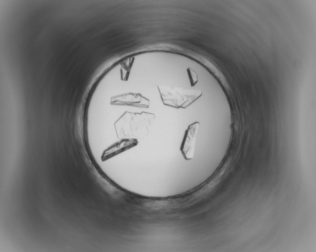X0000111171054200907291119