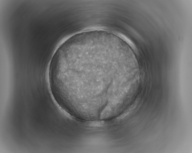 X0000111171055200907291119