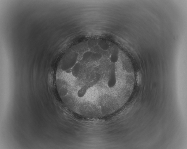 X0000111171059200907291119