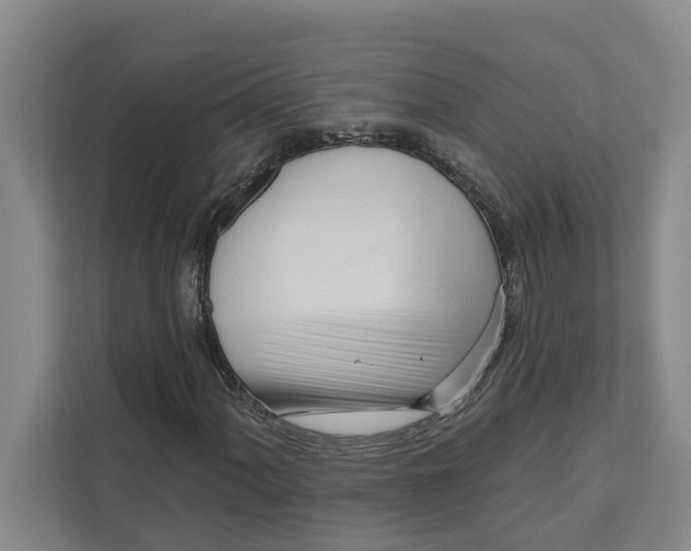 X0000111171060200907291119