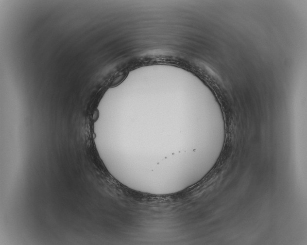 X0000111171062200907291119