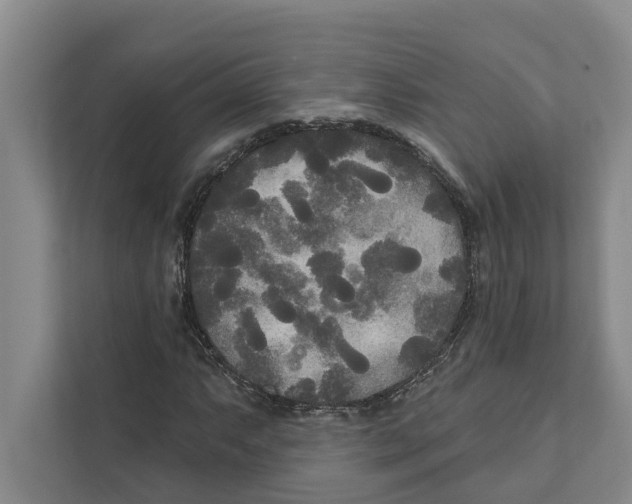 X0000111171063200907291119