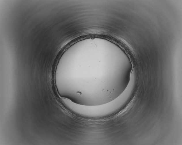 X0000111171065200907291118