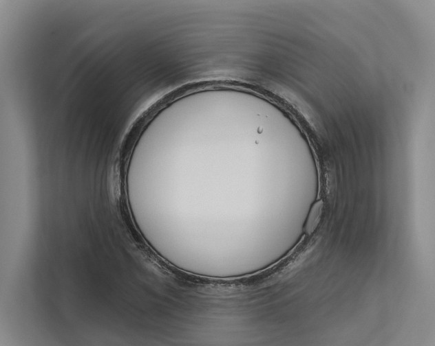 X0000111171069200907291118