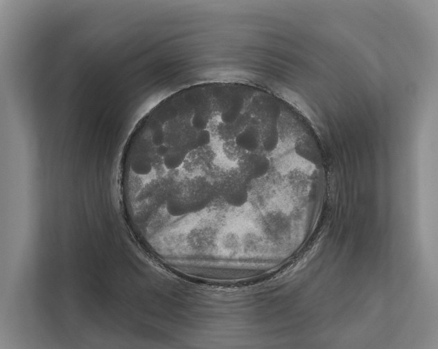 X0000111171071200907291118