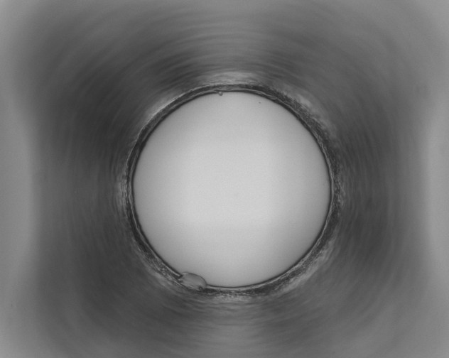 X0000111171073200907291118