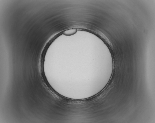 X0000111171076200907291118