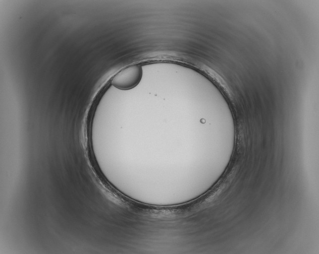 X0000111171082200907291118