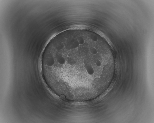 X0000111171083200907291118