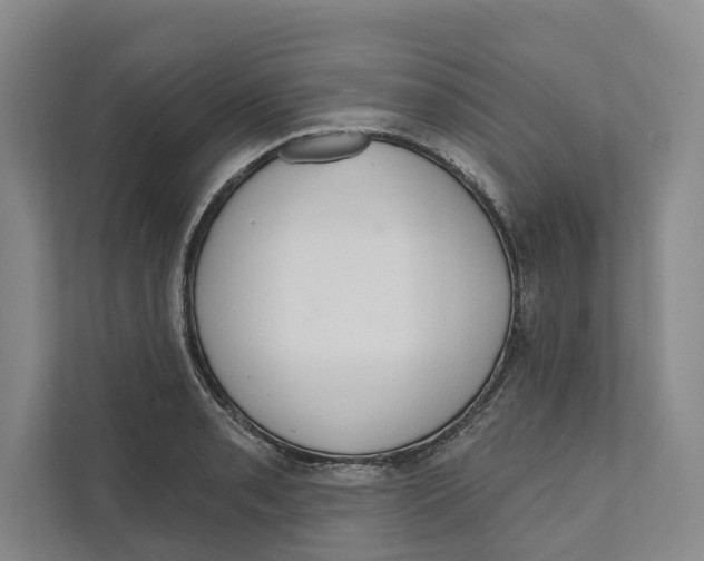 X0000111171085200907291118