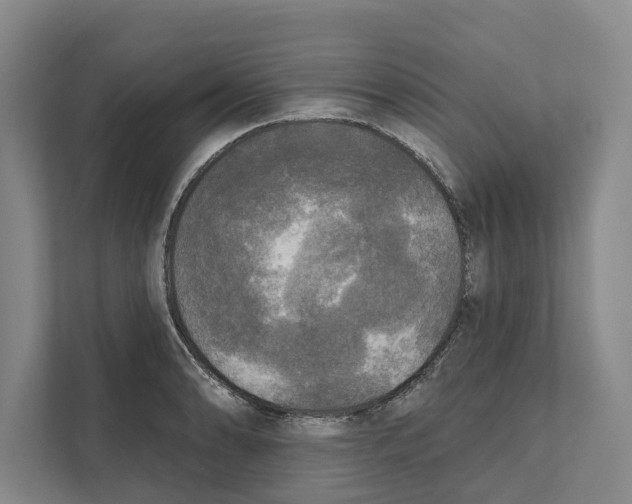 X0000111171086200907291118