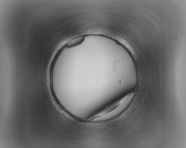 X0000111171088200907291118