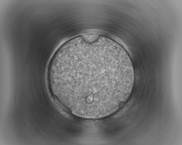 X0000111171091200907291118