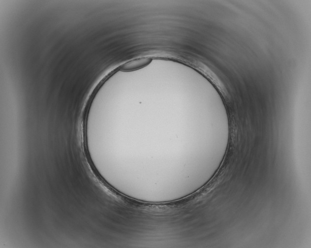 X0000111171092200907291118