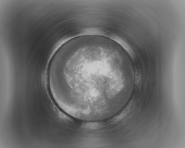 X0000111171094200907291118