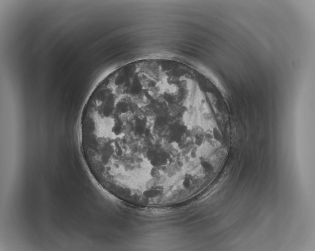 X0000111171095200907291118