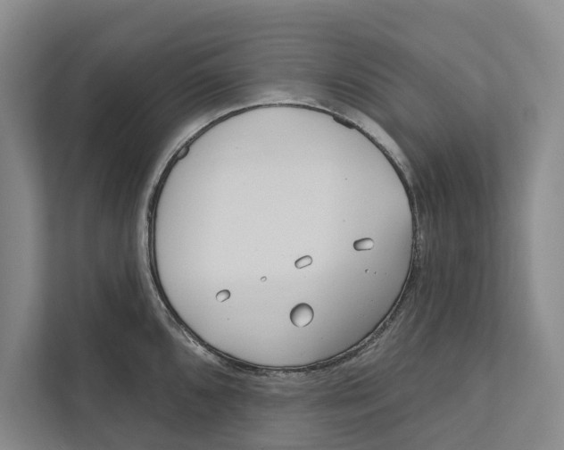 X0000111171096200907291118