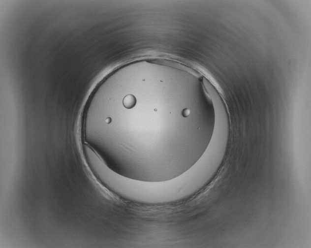 X0000111171098200907291118