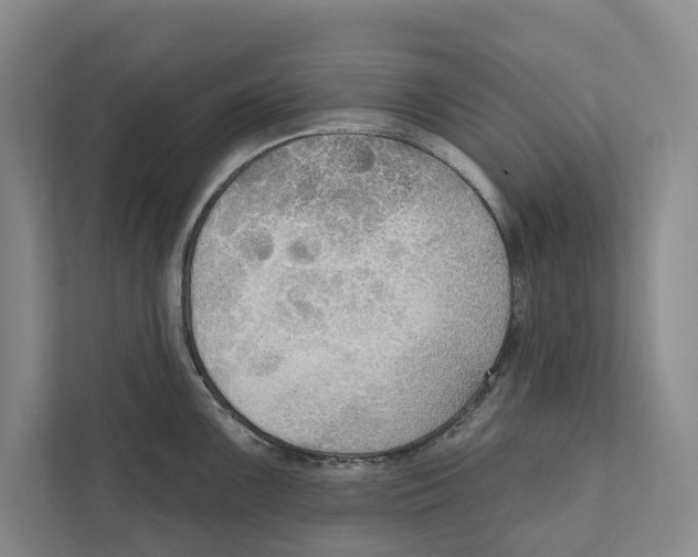 X0000111171099200907291118