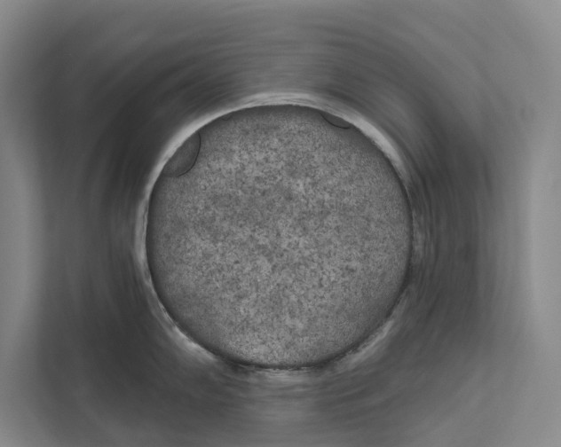 X0000111171102200907291118