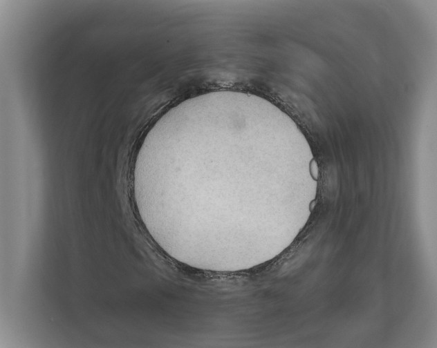 X0000111171105200907291117