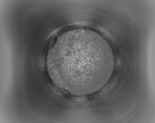 X0000111171110200907291117