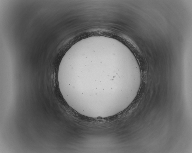 X0000111171111200907291117