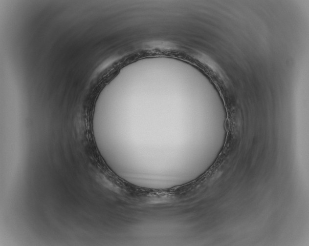 X0000111171112200907291117