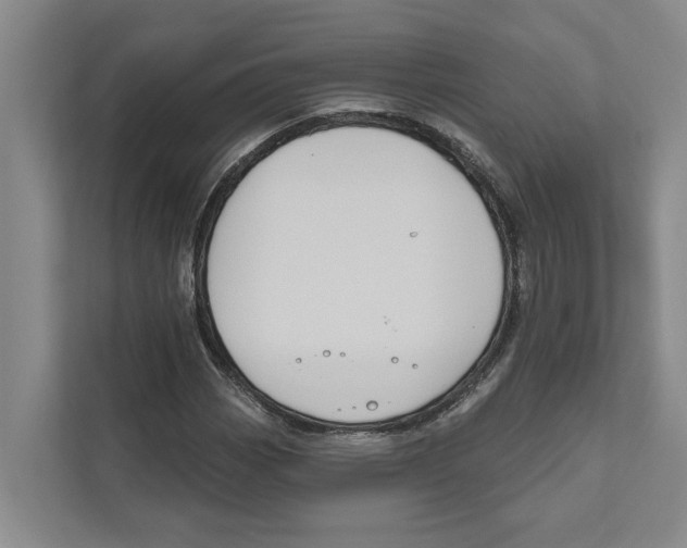 X0000111171113200907291117